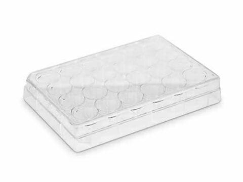 Placa para Cultivo de Células 24 poços. Fundo chato