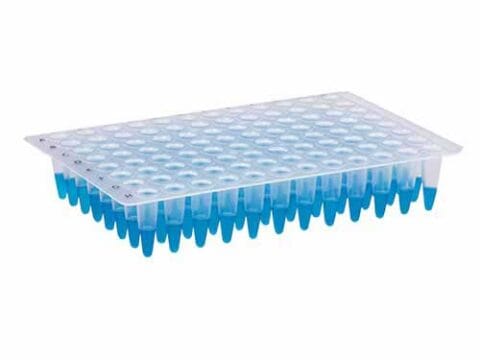 Microplaca de PCR sem borda 96 poços