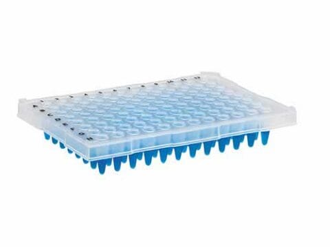 Microplaca de PCR meia borda 96 poços
