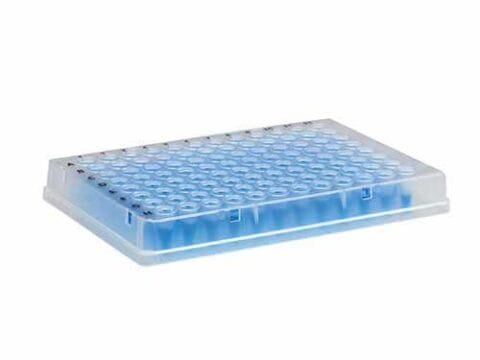 Microplaca de PCR com borda 96 poços