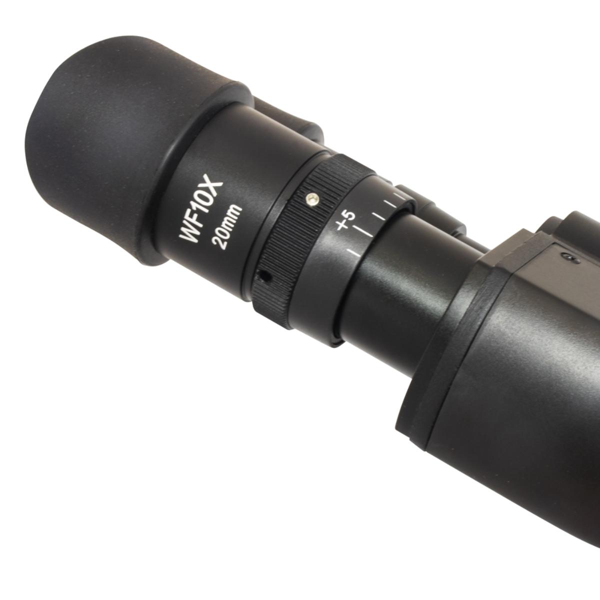 Microscópio Ótica Infinita (Uis) Binocular. - Imagem 3